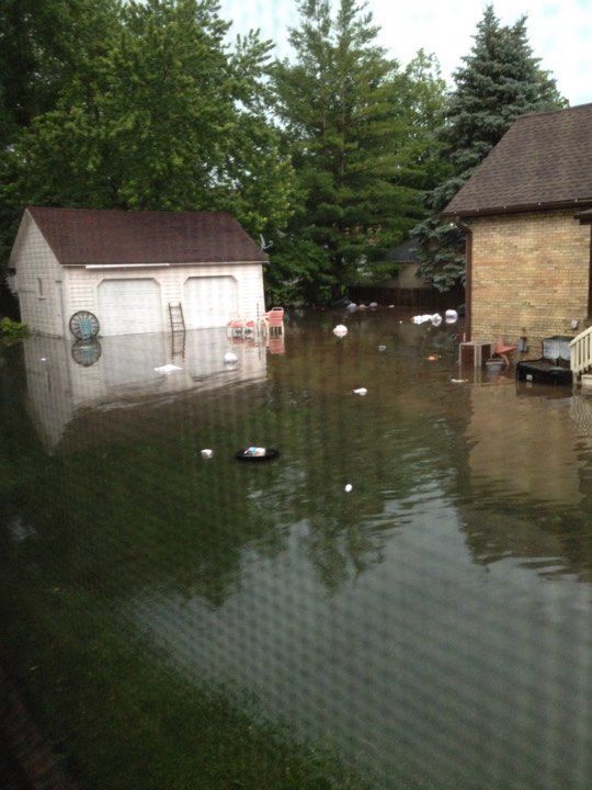 Burlington backyard